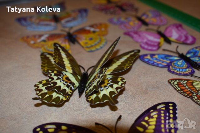 3D пеперуди за декорация с двойни крила СВЕТЕЩИ, снимка 12 - Декорация за дома - 25424987