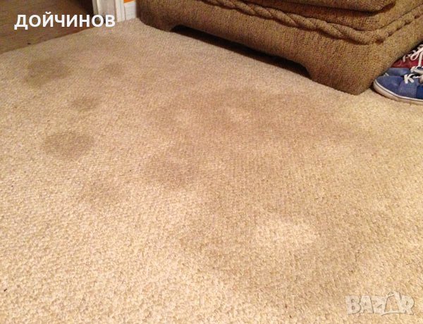  Почистване на плочи, паркет, ламинат всички подови настилки, снимка 11 - Пране на килими - 23589483