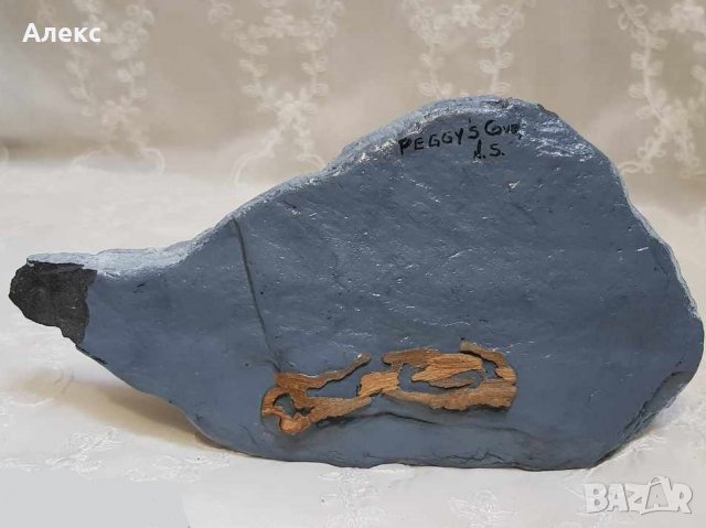 Стара рисувана картина върху камък–Подписана., снимка 6 - Картини - 24616374
