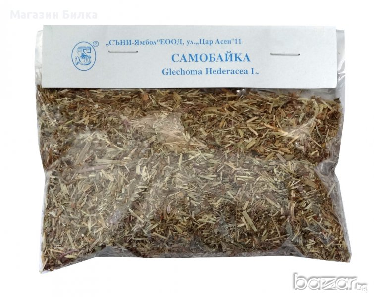 Билка Самобайка (Самобайче), снимка 1