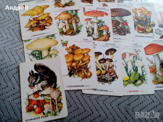 Стари Гъбарски карти, снимка 6 - Антикварни и старинни предмети - 25566360