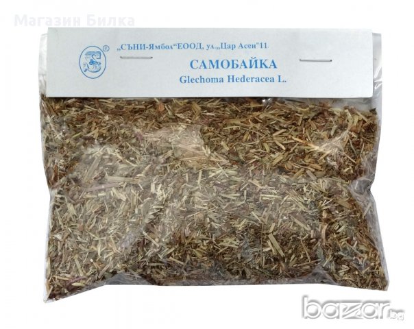 Билка Самобайка (Самобайче)