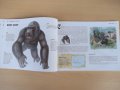 Книга "Зверове и злодеи - Гери МакКол" - 96 стр., снимка 5