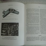 Атласи по анатомия на човека Синелников, снимка 7 - Енциклопедии, справочници - 16689471