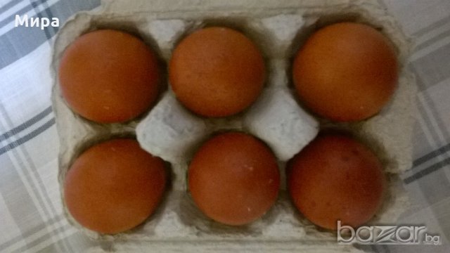 яйца за люпене от син  маран, снимка 3 - други­ - 21087563