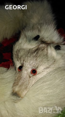 яка сребърна лисица нова, снимка 2 - Шапки - 21490057