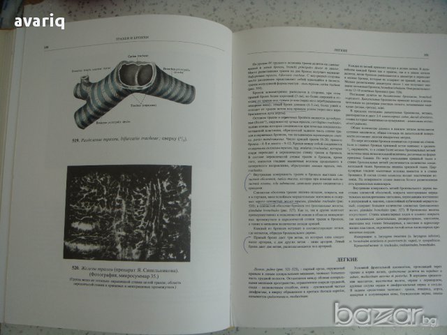 Атласи по анатомия на човека Синелников, снимка 7 - Енциклопедии, справочници - 16689471