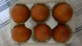 яйца за люпене от син  маран, снимка 3