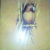 Животът и приключенията на Робинзон Крузо - Даниел Дефо, снимка 3 - Художествена литература - 17072152