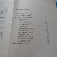 Камен Калчев - 1,2 том, снимка 3 - Художествена литература - 21904383