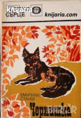 Библиотека Златно сърце: Чернишка 