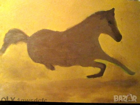 До-30%Продавам недовършени картини,бартер за лаптоп с камера и микрофон - репродукции , снимка 6 - Картини - 23703172