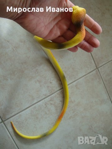 " Жълта змия "  - реалистична силиконова змия, снимка 3 - Колекции - 21533048
