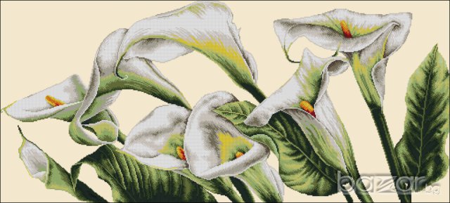 гоблен"БЕЛИ КАЛИ"-Д44;размери/60*30/см.; 19цвята;48лв