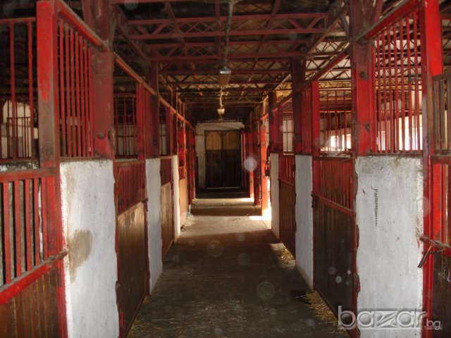 Продава или заменя животновъдна Ферма УПИ 33600м2, снимка 9 - Други - 5437237