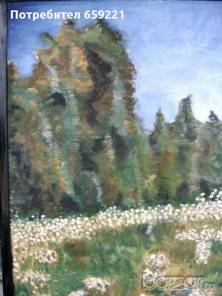 ГОРА, снимка 1