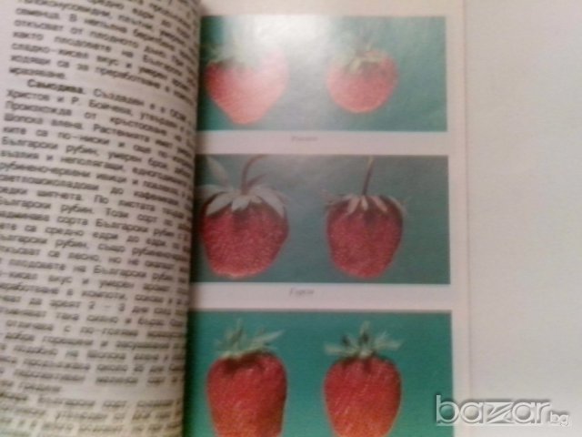 ягодоплодните култури в нашата градина-от земиздат, снимка 10 - Художествена литература - 9668997