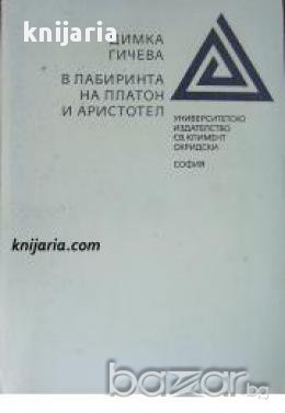 В лабиринта на Платон и Аристотел 