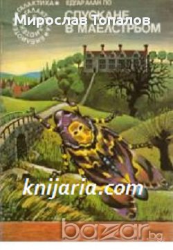 Спускане в Маелстрьом, снимка 1