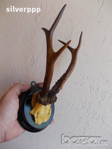 Трофей - 1, снимка 5 - Антикварни и старинни предмети - 17858127