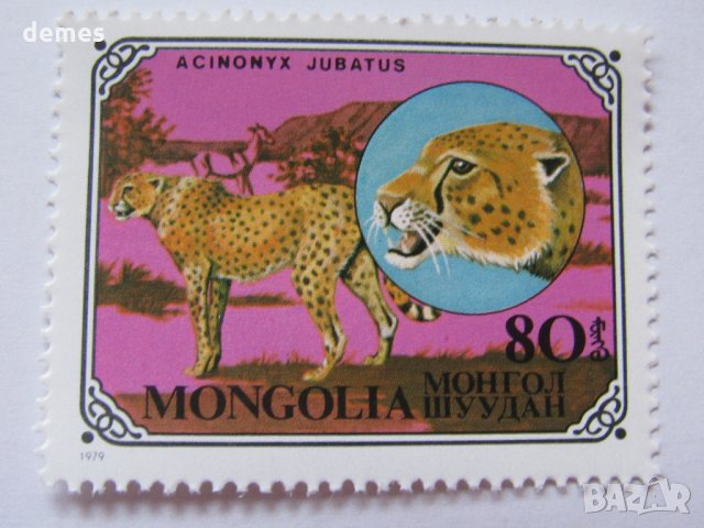 Дивите котки-сет от 7 марки, 1979, Монголия, снимка 11 - Филателия - 22374210