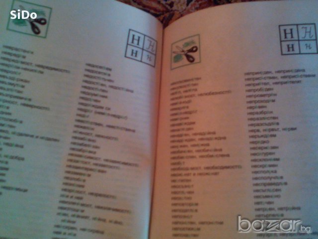 Речник"Аз пиша правилно"-правописен и правоговорен речник от 1 до 7 клас., снимка 9 - Чуждоезиково обучение, речници - 15985406