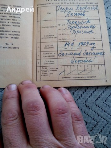 Стара Трудова книжка, снимка 2 - Други ценни предмети - 24065360