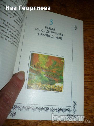 Рыбы в аквариуме -В. Д. Радзимовский, О. А. Соколов, С. Н. Земсков , Аквариумни риби, снимка 3 - Специализирана литература - 8642243