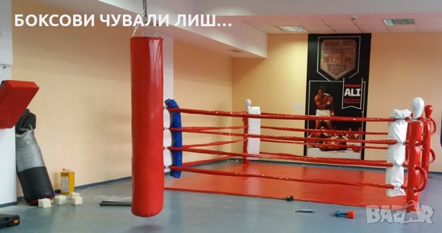 BG Боксов ринг 4х4 м. с 2 см.подложка !, снимка 5 - Фитнес уреди - 23132066
