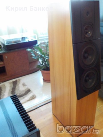 █▬█ █ END AUDIO-MEADOWLARK AUDIO - HERON i - тонколони -перфектни.Гаранция 2 години!, снимка 3 - Тонколони - 18997437