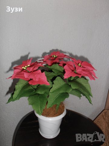 Коледна звезда, снимка 8 - Изкуствени цветя - 23726685