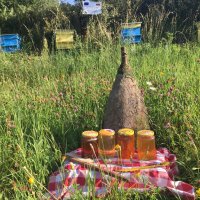 Родопски пчелен мед, снимка 4 - Пчелни продукти - 22675761