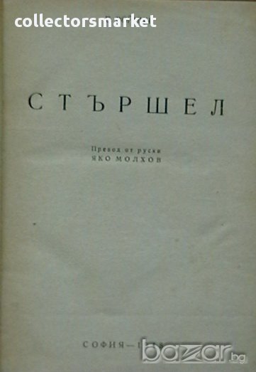 Стършел, снимка 1