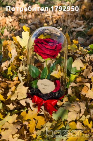 Вечна роза в голяма стъкленица - Уникален и стилен подарък, снимка 4