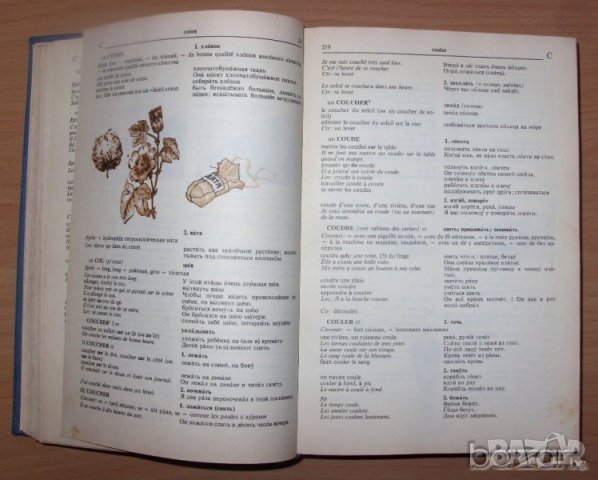 Френско-Руски речник с илюстрации, снимка 3 - Чуждоезиково обучение, речници - 23430581