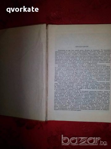 Български синонимен речник-Любен Нанов, снимка 2 - Чуждоезиково обучение, речници - 17847897