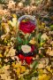 Вечна роза в голяма стъкленица - Стилен подарък за рожден ден на жена / Уникален подарък за юбилей, снимка 5