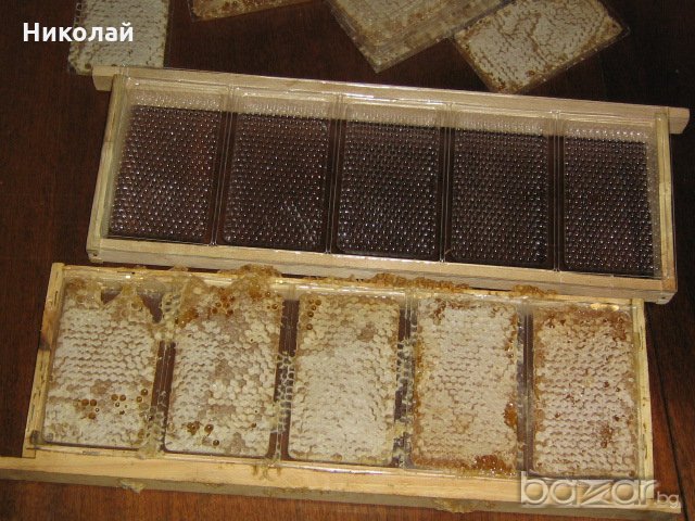 Пчелни пластмасови основи  “Бипакс” за магазинни и многокорпусни рамки, снимка 1