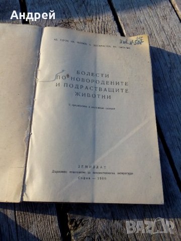 Книга,Болести по новородените и подрастващите животни, снимка 2 - Специализирана литература - 21544856