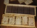Пчелни пластмасови основи  “Бипакс” за магазинни и многокорпусни рамки, снимка 1 - Други стоки за животни - 19012873