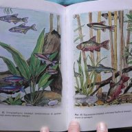 Искусство аквариумного рыбоводства - А.Базанов, снимка 9 - Художествена литература - 18538651