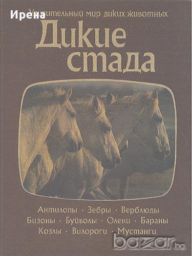 Дикие стада.  Дж. Нири, снимка 1