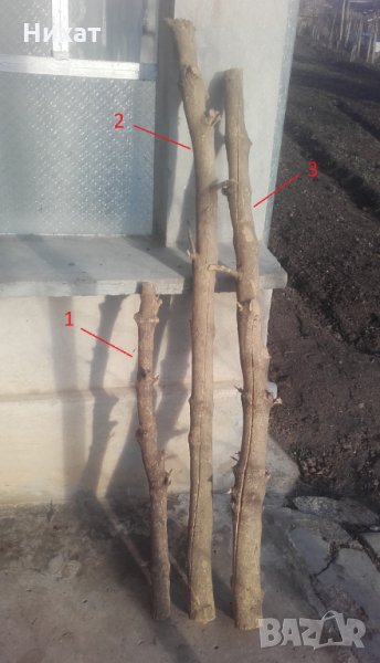 Продавам чемшир дървен материал, снимка 1