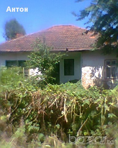 къща с двор в с Стакевци община Видин, снимка 8 - Къщи - 13418561