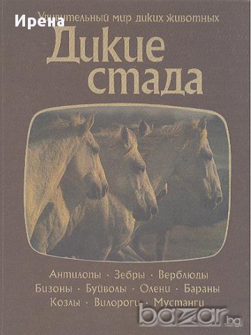 Дикие стада.  Дж. Нири, снимка 1 - Художествена литература - 12576499