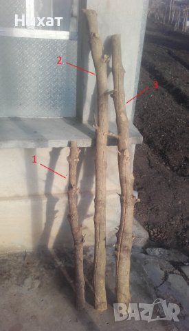 Продавам чемшир дървен материал