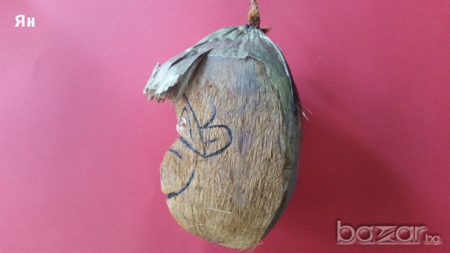 Маймуна от Кокосов орех за Декорация , снимка 2 - Други - 17438286