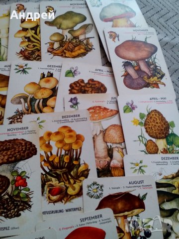 Стари Гъбарски карти, снимка 5 - Антикварни и старинни предмети - 25566360