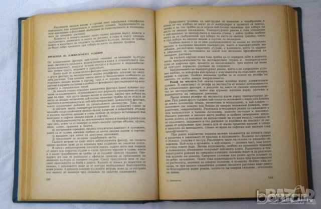 Овощарство Й Стоичков, В Велков, С Попов, Т Ангелов, Л Джилянов, Ц Цолов, С Топчийски, Р Панова, снимка 4 - Специализирана литература - 23433833