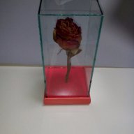 Роза за за свети валентин или 8 март, снимка 13 - Декорация за дома - 13751762